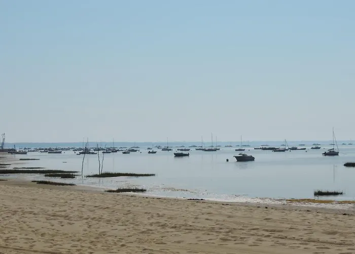 Mobil Home Lege Cap Ferret Camping 4 Etoiles Les Viviers